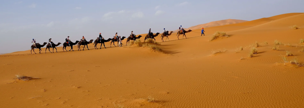 Montando camellos en el desierto del Sahara