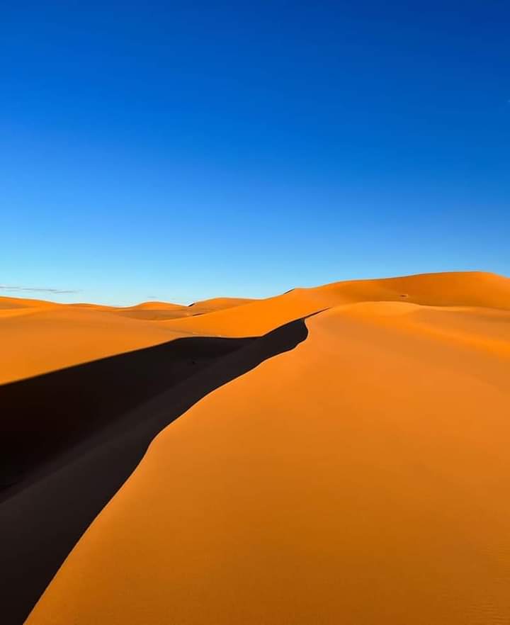 Del Mar Al Desierto Viajes