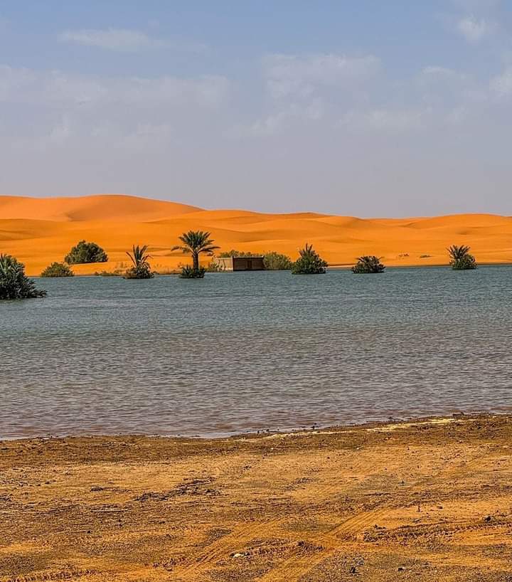 Lago de agua en pleno desierto del Sahara junto a las dunas de Erg Chebbi