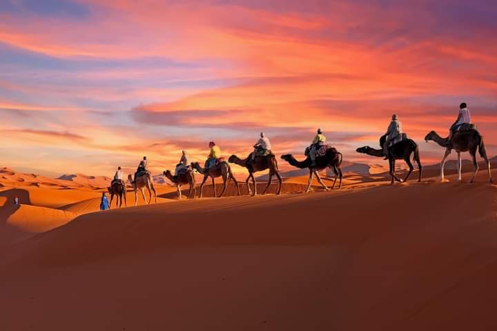Caravana de camellos en el desierto del Sahara