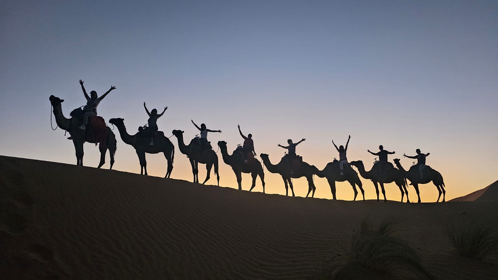 Caravana de camellos de nuestros viajeros en el desierto de (Erg Chebbi) al atardecer, camino al campamento. 